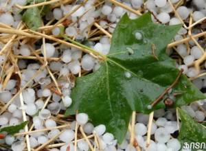 Attention: hail is expected