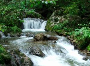 Դիլիջանում օճառ և կոսմետիկա կարտադրվի