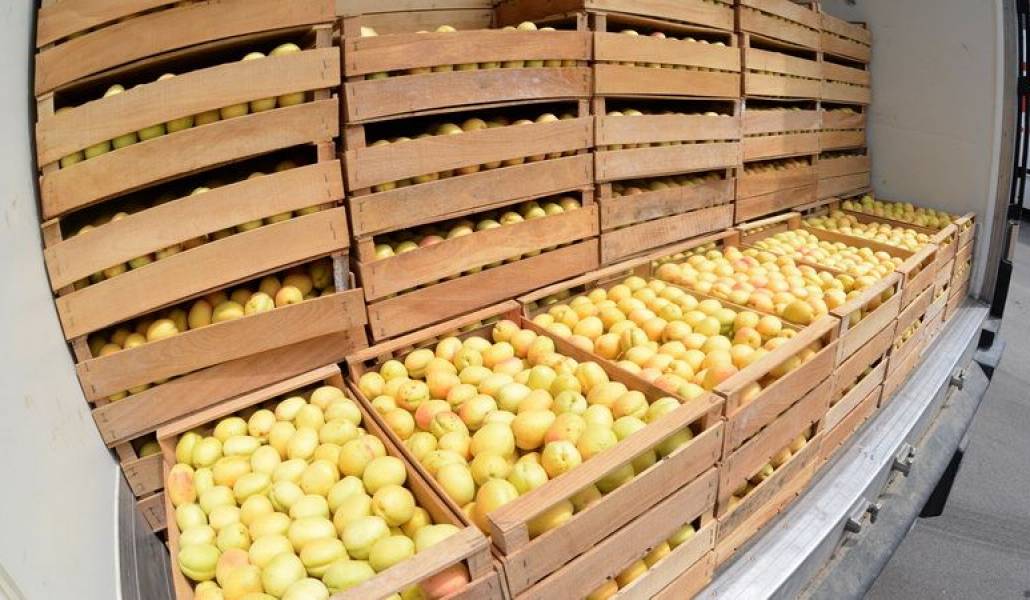 ba3e0fe6c2bc86c232d5217d160808f5