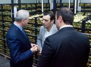 Արդեն արտահանվել է  63700 տոննա պտուղ-բանջարեղեն