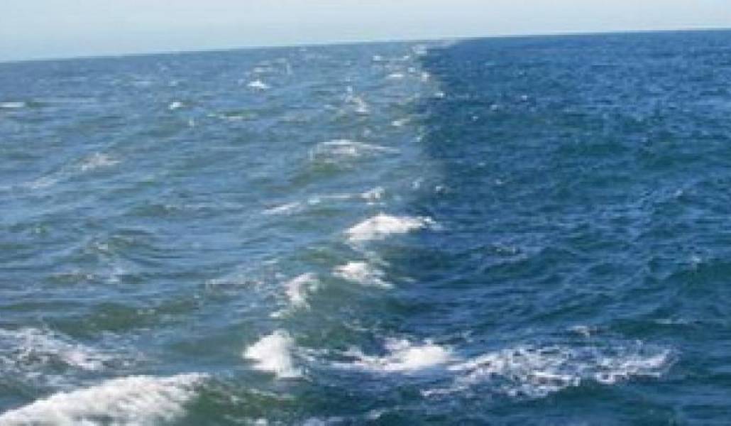 5662b835ab1a943b86fe8a2bad411e82