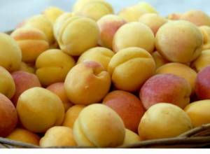 18 268 tons of apricot exported