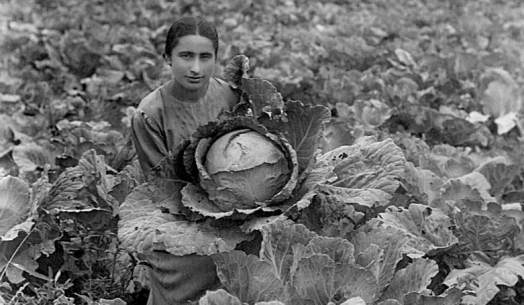 symbol-of-the-project_highres