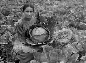 Dilijan Arts Observatory, the first project by the Dilijan Art Initiative, launched in Armenia