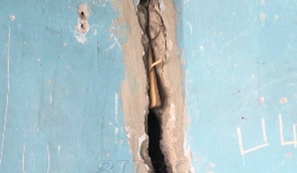 1472726503_horomi-dproc