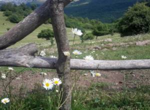 Five-day weather forecast for Armenia