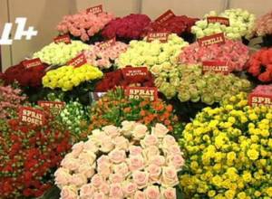 Privilege granted to “Armyanskiy Urazhay”