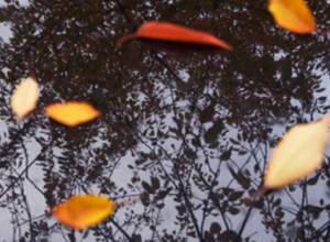 On September 24 air temperature to go down by 9-10 degrees