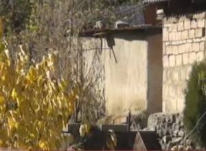 «Турист первым делом спрашивает: где туалет?»