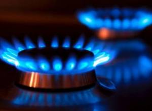 На год зафиксирована цена на газ