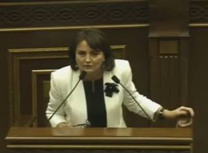 Margarit Yesayan: The bill will neither enrich nor impoverish us