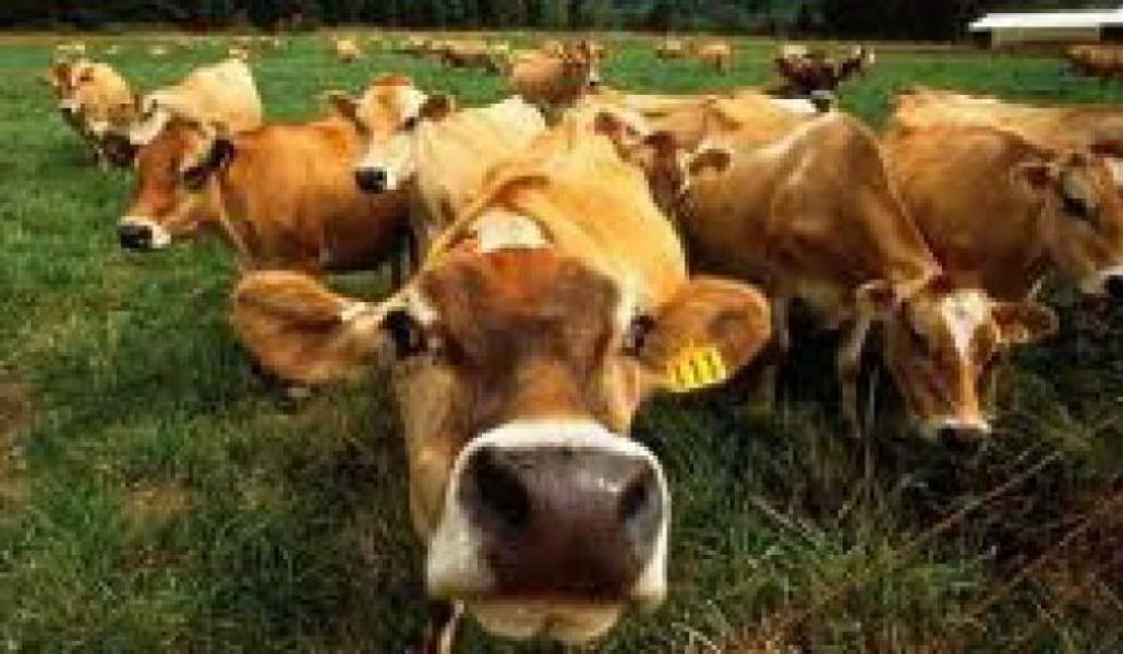 d4b4fbbc1dbbd2e3782b61518158a06c