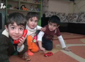 «Дети живут подобно Маугли»