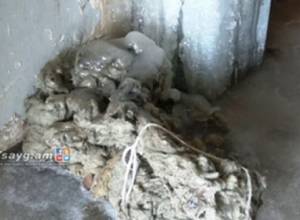 Կոյուղաջրերը անարգել լցվում են շենքի շքամուտք