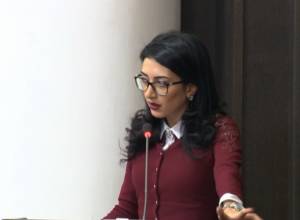 Prime Minister gives instruction to Arpine Hovhannisyan