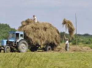 Գյուղացին է որոշելու,  թե ինչ գյուղտեխնիկա գնի