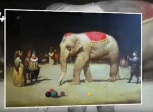 ԿՏԱՎ. Տիգրան Ասատրյան