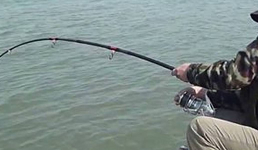 Снимок-13-300x247