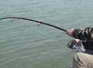 Շաբաթվա ընթացքում հայտնաբերվել և առգրավվել է 2 կգ գետի ձուկ