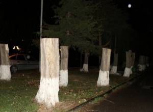 Serzh Sargsyan called recent illegal logging 'act of barbarism'