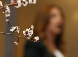 Yerkir Tsirani to hold its first press conference