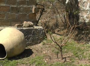 Արգավանդիցները կանխատեսում են 50 տոկոս բերքի կորուստ