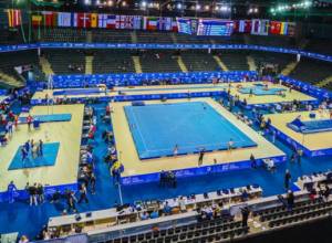 Гимнасты Армении померятся силами в кольцах и брусьях