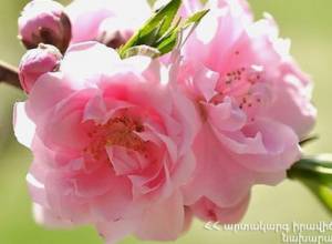 Климатическая характеристика мая и прогноз на месяц