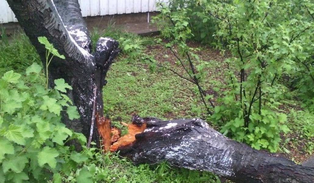 3795897d4766e08d63327d1b3259bcf0