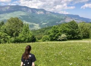 Five days weather forecast