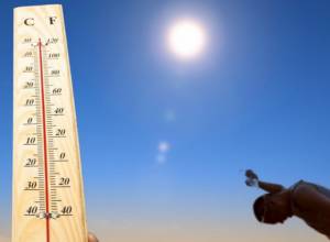 Avoid direct sunrays from 11:00 to 15:00