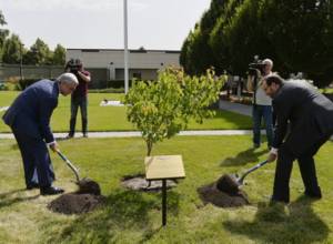 Serzh Sargsyan, Ambassador Mills plant an apricot tree in the yard of the US Embassy