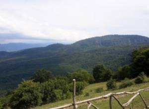 Avoid direct sunrays from 11:00 to 15:00