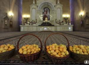 Սուրբ Աննա եկեղեցում օրհնվել է ծիրանը