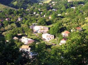 Լոռիում գայլերն անասուններ են հոշոտել. Առավոտ