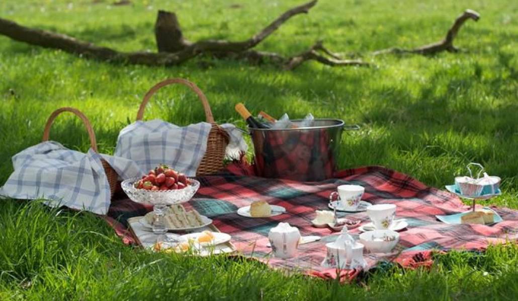picnic