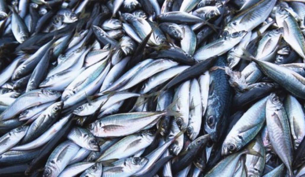 52bb59f87ca87a67b4bd8b01df68897d