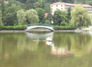 Why Dilijan's water is murky.