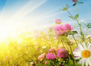 Weather: High risk of fire expected in Armenia