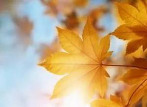 В сентябре жара сохранится