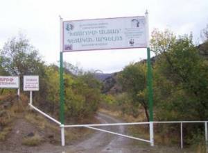 В Хосровском лесу сгорела территория площадью 3-4 га: пожар потушен