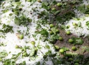 Несколько общин Аскеранского района пострадали от града: artsakhpress