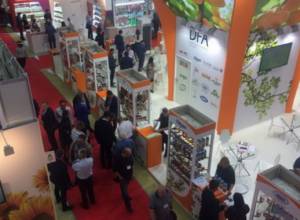 Հայկական տաղավարը լավագույնն է ճանաչվել միջազգային էքսպոյում