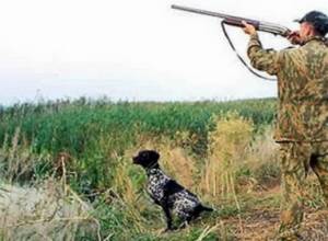 17 million 310 thousand drams for hunting permission