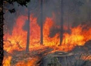 На покрытой травой территории Лорийской области вспыхнул пожар