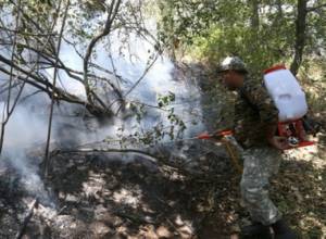 Commission set up to conduct fire analysis