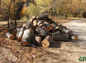 Artsvik Minasyan: Some people use this opportunity and call on people to take to the streets