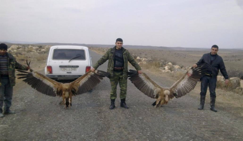 58a7635a37062d29986c1f7be2f6dbf6