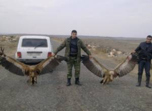 According to the police, the vulture hunting was until 2013