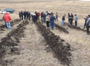 Пустующие территории превратятся в леса